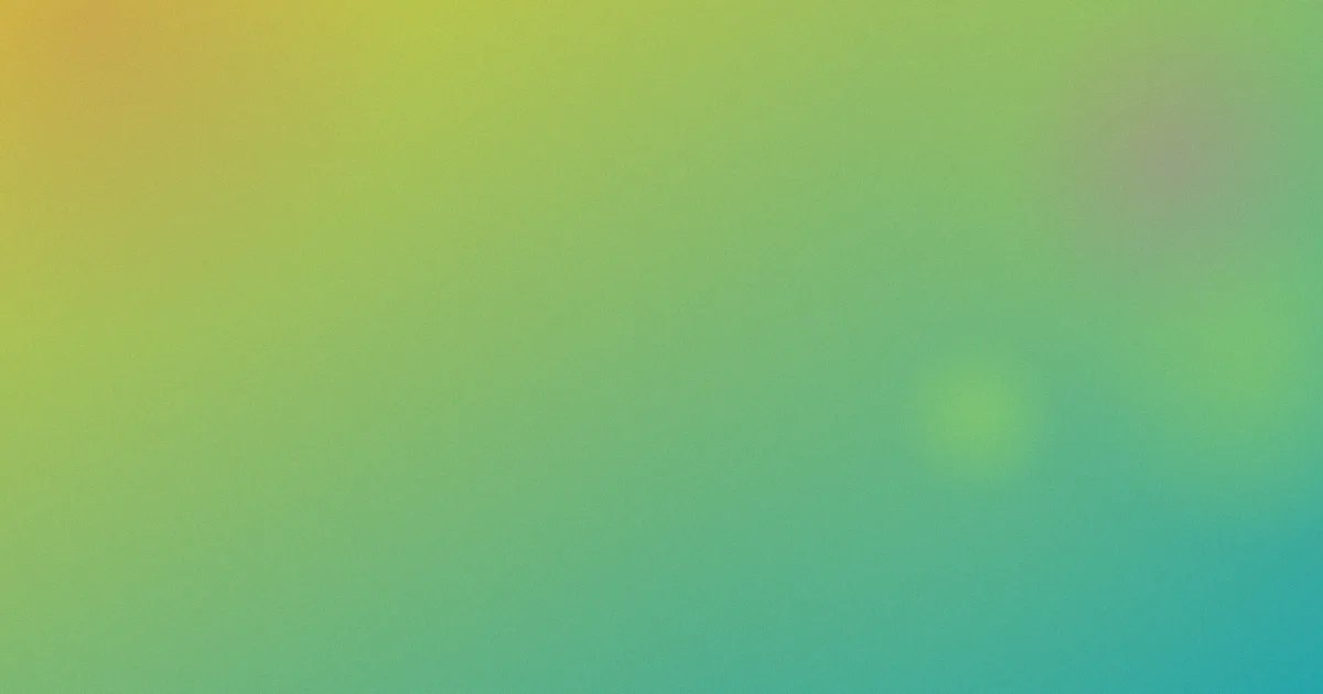 成年人片对比：一次选片复盘