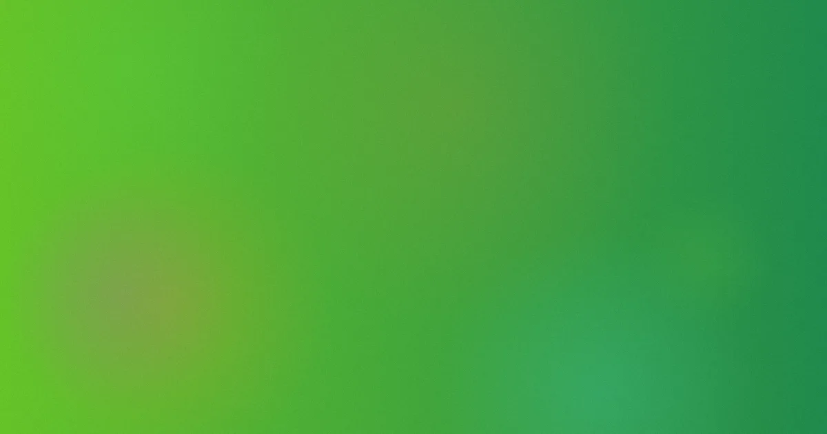 情趣网攻略：新手怎么选